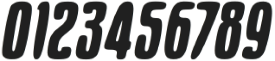 Rasha Italic otf (400) Font OTHER CHARS