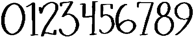 Raspberry Garden Serif Regular otf (400) Font OTHER CHARS