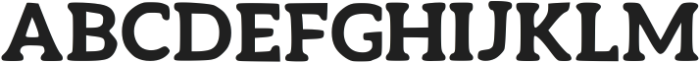 Raw Serif Bold otf (700) Font UPPERCASE