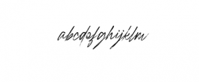 Raidden-RoughItalic.otf Font LOWERCASE