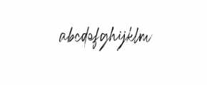 Raidden-Rough.otf Font LOWERCASE