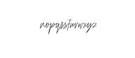 Raidden Script Family Font LOWERCASE