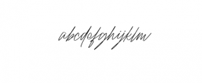 Raidden-ThinItalic.otf Font LOWERCASE