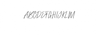 Raidden-Thin.otf Font UPPERCASE