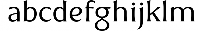 Radellin Vintage Serif Font LOWERCASE