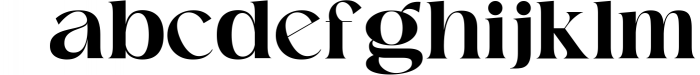 Raginy - Stylish Modern Serif Font LOWERCASE