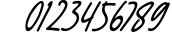 Ralline - Modern Script Font 1 Font OTHER CHARS