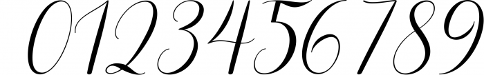 Rankfine-Elegant Calligraphy Font Font OTHER CHARS