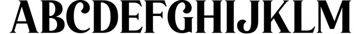 Ravise - Modern Serif Font UPPERCASE
