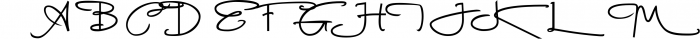 Raydenstone Signature Fonts 1 Font UPPERCASE