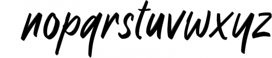 Raymond Signature Font Font LOWERCASE