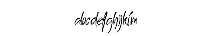 RadenaPersonalUse-Regular Font LOWERCASE