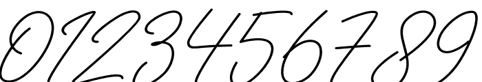 Radhion Signature Font OTHER CHARS