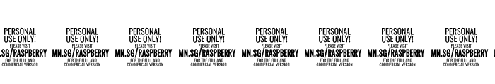 Raspberry Script PERSONAL USE Font OTHER CHARS