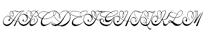 Rastiya Daffodil Font UPPERCASE