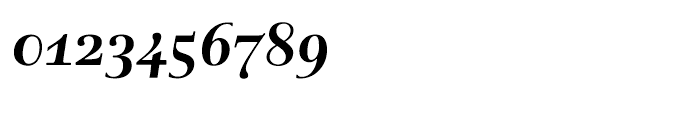 Rabenau Bold Italic Font OTHER CHARS