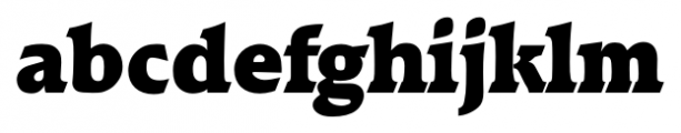 Raleigh Serial Black Font LOWERCASE