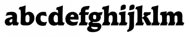 Raleigh Serial Heavy Font LOWERCASE