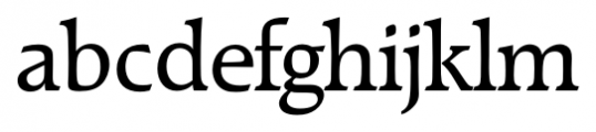 Raleigh Serial Regular Font LOWERCASE