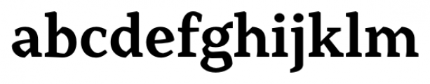 Range Serif Bold Font LOWERCASE
