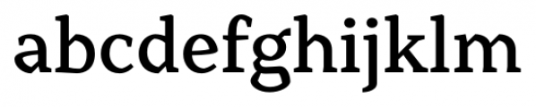 Range Serif Medium Font LOWERCASE