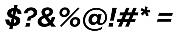 Rational Display Semi Bold Italic Font OTHER CHARS