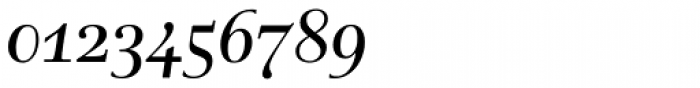Rabenau Pro Book Italic Font OTHER CHARS