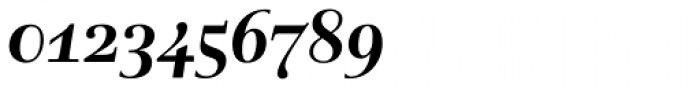 Rabenau Std Bold Italic Font OTHER CHARS