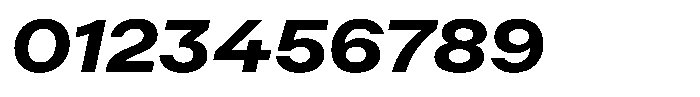 Radianz Bold Wide Italic Font OTHER CHARS