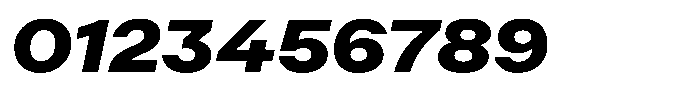 Radianz Extra Bold Wide Italic Font OTHER CHARS