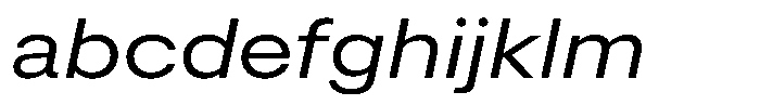 Radianz Wide Italic FONT