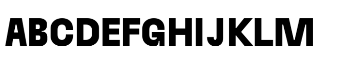 Raela Grotesque Black Font UPPERCASE