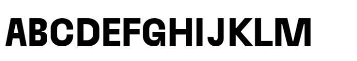 Raela Grotesque Extra Bold Font UPPERCASE