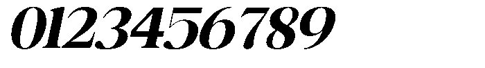 Rafiela Black Italic Font OTHER CHARS