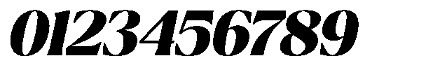 Ragmont Serif Black Italic Font OTHER CHARS
