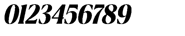 Ragmont Serif Bold Condensed Italic Font OTHER CHARS
