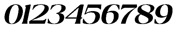 Ragmont Serif Bold Expanded Italic Font OTHER CHARS
