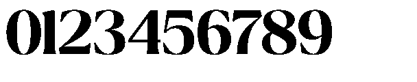 Ragmont Serif Bold Font OTHER CHARS