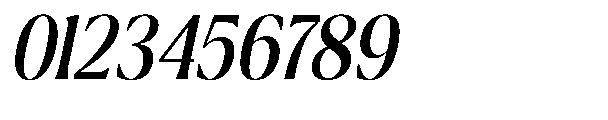 Ragmont Serif Condensed Italic Font OTHER CHARS