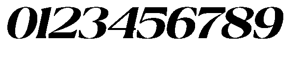 Ragmont Serif Extra Bold Expanded Italic Font OTHER CHARS