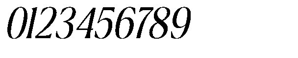 Ragmont Serif Light Condensed Italic Font OTHER CHARS