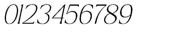 Ragmont Serif Thin Italic Font OTHER CHARS