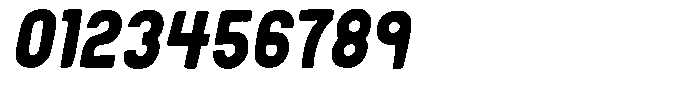 Rainblown Fields Italic Font OTHER CHARS
