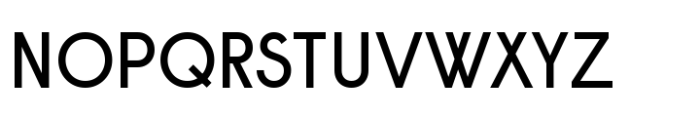 Raisonne Variable Upright Font UPPERCASE