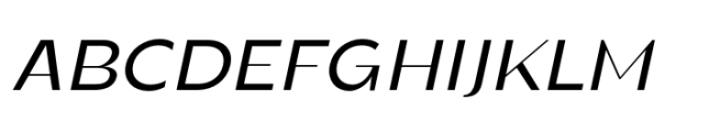 Randu Sans Medium Italic Font UPPERCASE