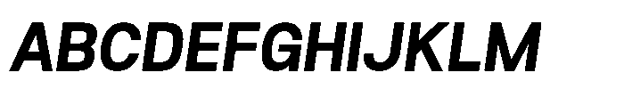 Rasa Sans Bold Italic Font UPPERCASE