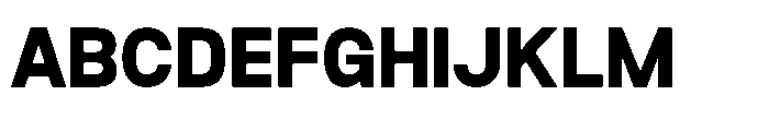 Rasa Sans Extra Bold Font UPPERCASE