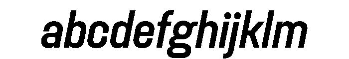 Rader Variable Regular 14 FONT