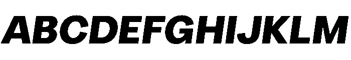 Radial BlackItalic Instance Font UPPERCASE