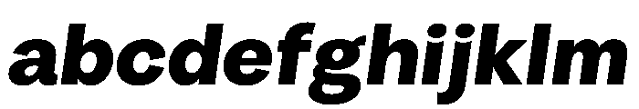 Radial BlackItalic Instance FONT